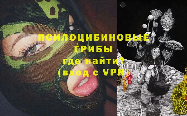 трава Арсеньев