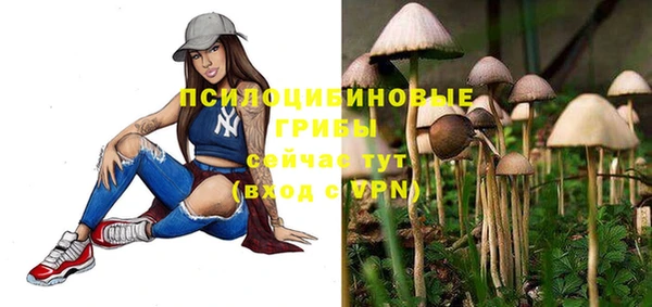 прущий лед Армянск