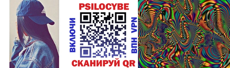 Галлюциногенные грибы Psilocybe  купить наркоту  Мичуринск 
